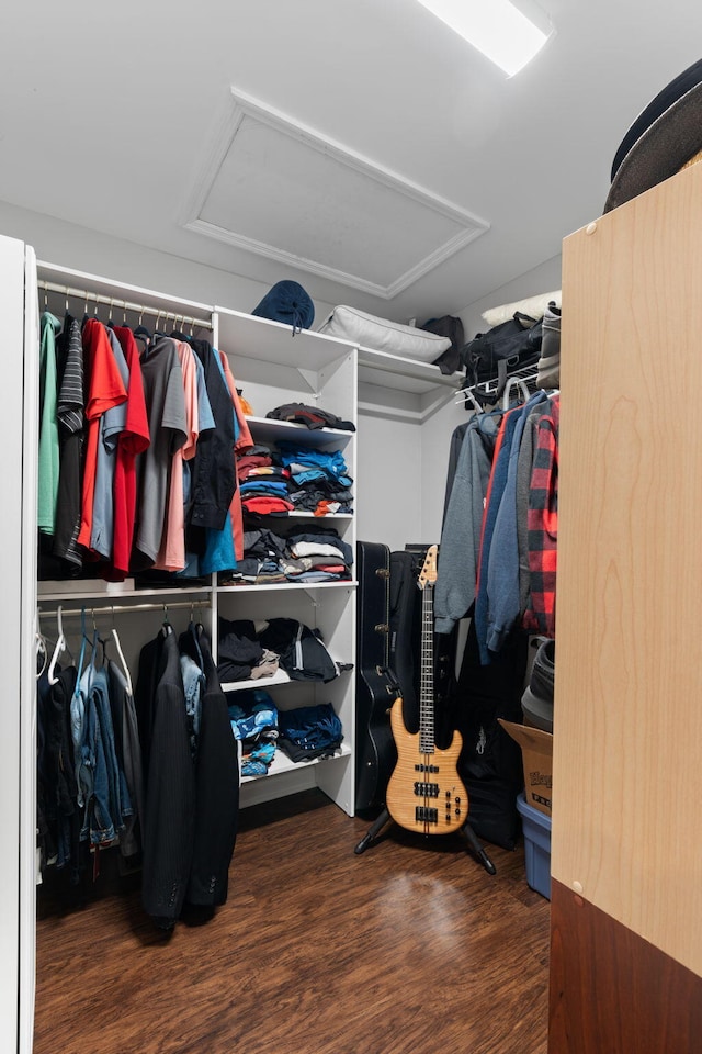 walk in closet with attic access and wood finished floors