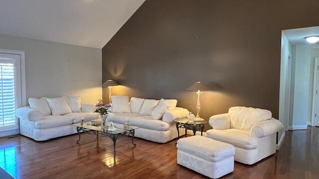 living room with lofted ceiling and wood finished floors