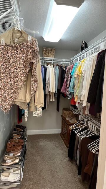 spacious closet featuring carpet floors