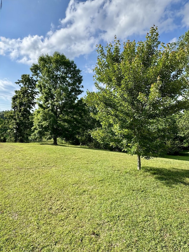 4193 Bates Pike SE, Cleveland, TN 37323 - photo 44