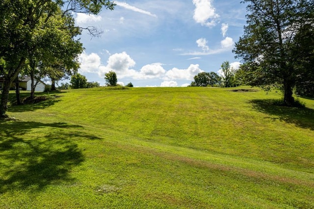 61 County Road 232, Niota, TN 37826 - photo 6