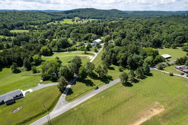 61 County Road 232, Niota, TN 37826 - photo 12