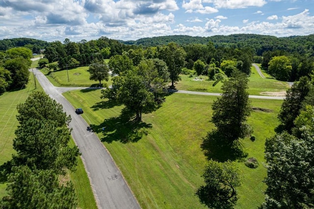 61 County Road 232, Niota, TN 37826 - photo 2