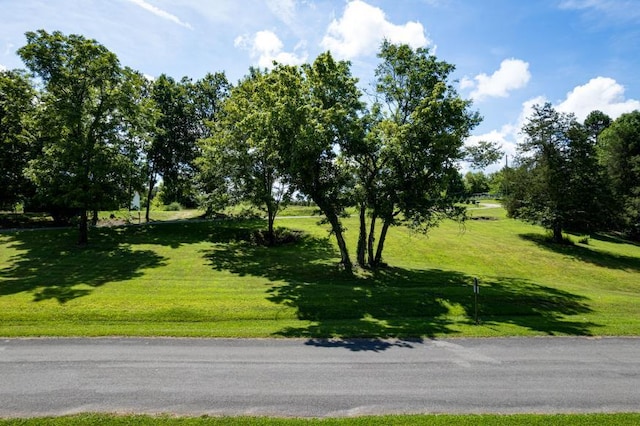 61 County Road 232, Niota, TN 37826 - photo 1