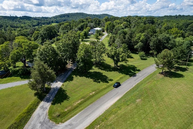 61 County Road 232, Niota, TN 37826 - photo 9