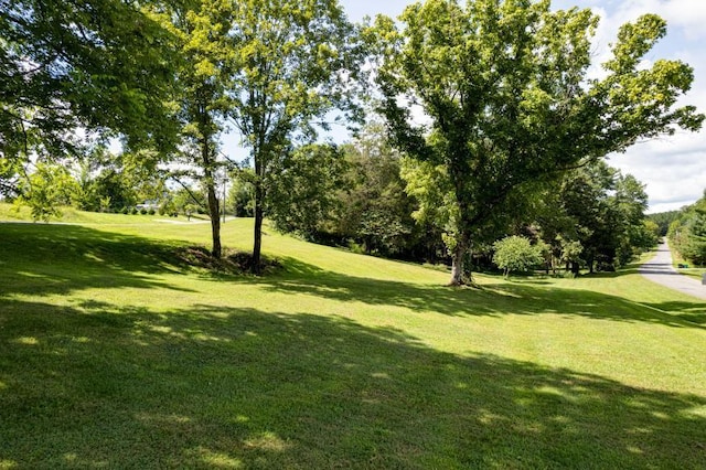 61 County Road 232, Niota, TN 37826 - photo 5