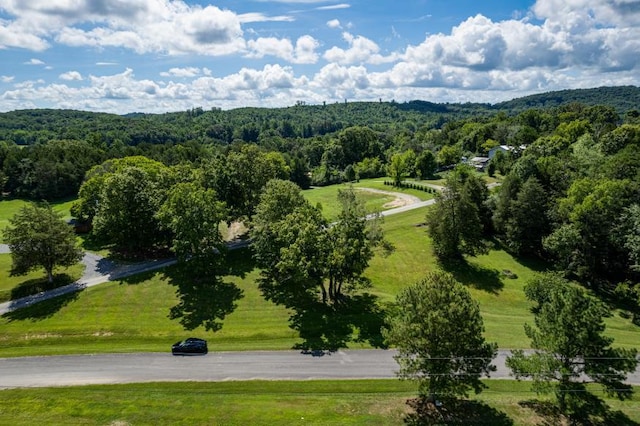 61 County Road 232, Niota, TN 37826 - photo 10