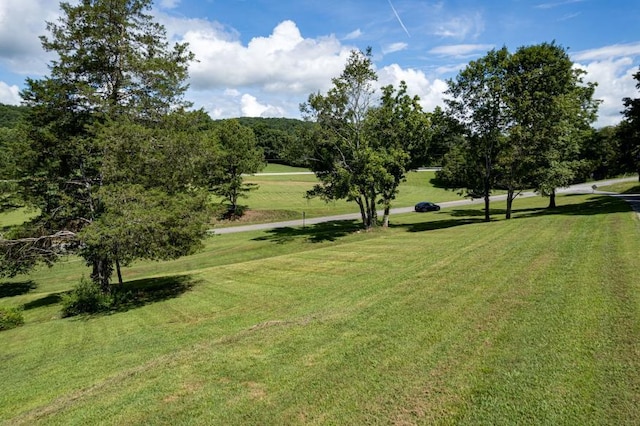 61 County Road 232, Niota, TN 37826 - photo 3