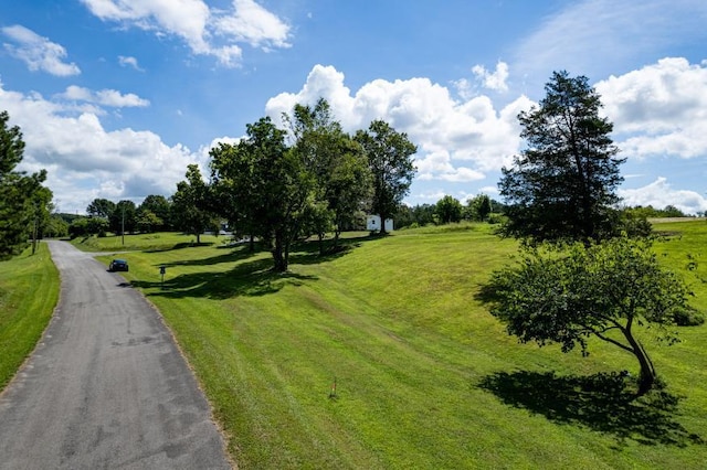 61 County Road 232, Niota, TN 37826 - photo 11