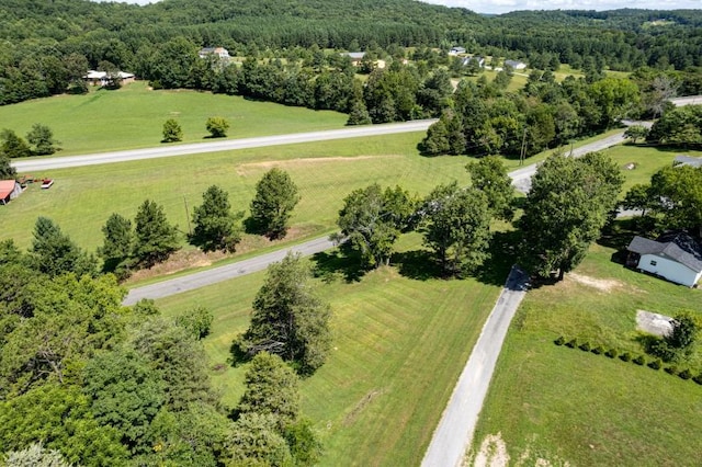 61 County Road 232, Niota, TN 37826 - photo 7