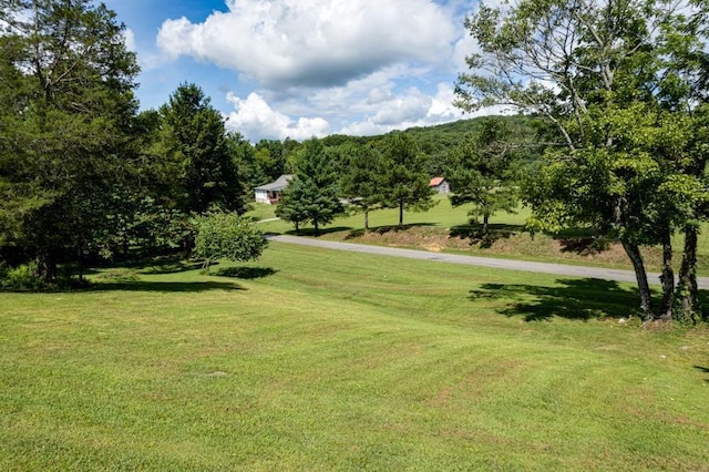 61 County Road 232, Niota, TN 37826 - photo 4