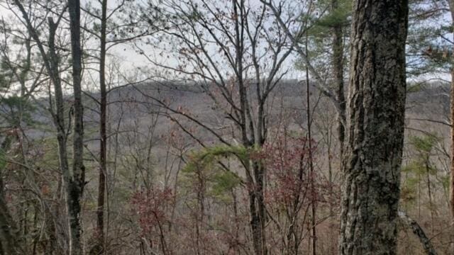 Listing photo 2 for 00 Clifton Cemetery Rd, Spring City TN 37381