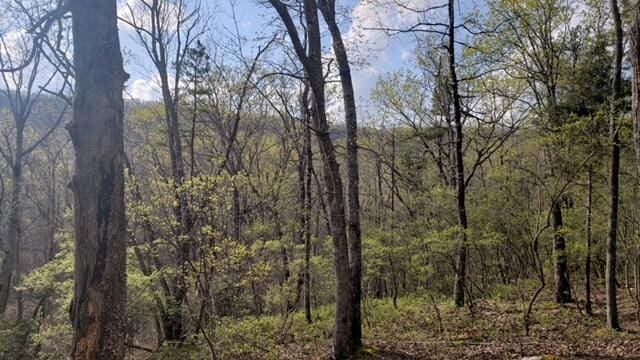 00 Clifton Cemetery Rd, Spring City TN, 37381 land for sale