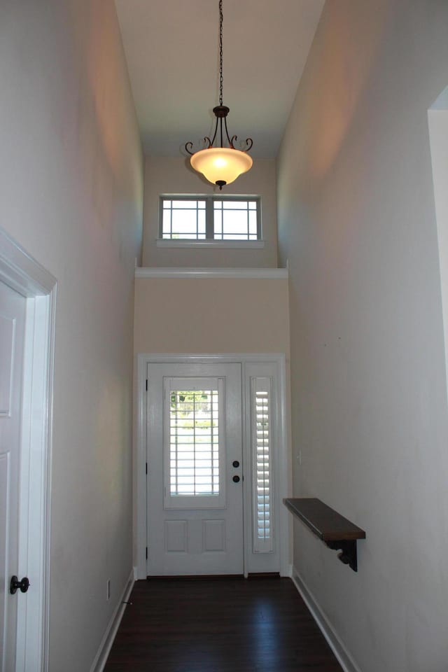 foyer entrance featuring a towering ceiling and dark hardwood / wood-style floors