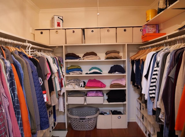 3611 Sourwood Trl NW, Cleveland, TN 37312 - walk in closet featuring wood finished floors