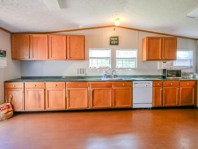 263 County Road 967, Riceville, TN 37370 - kitchen featuring white dishwasher, vaulted ceiling, a textured ceiling, stainless steel microwave, and healthy amount of natural light