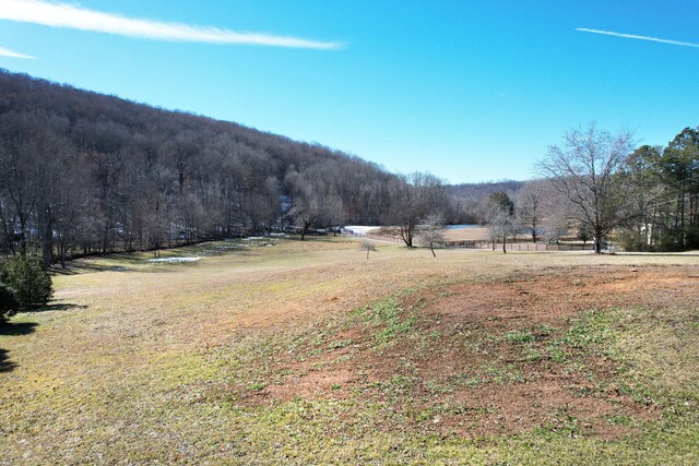 10646 Pine Hill Rd, Mcdonald, TN 37353 - photo 5