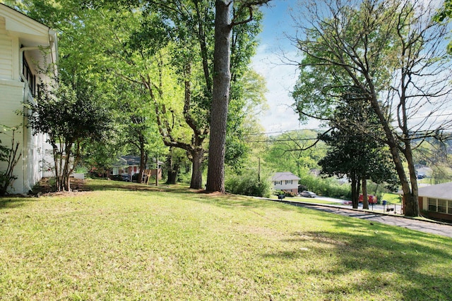 3015 Pine Dr NE, Cleveland, TN 37312 - photo 5