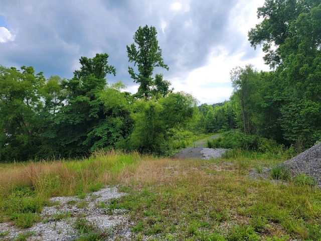 2220 Ruritan Rd, Harriman TN, 37748 land for sale