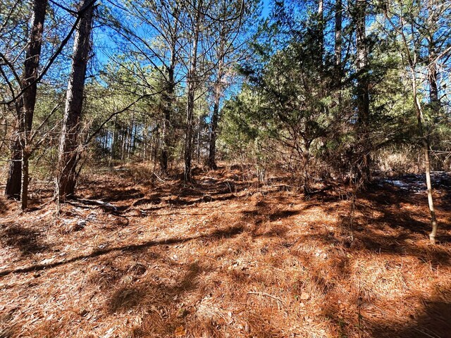 2A Redman Ridge Ln, Decatur, TN 37322 - photo 14