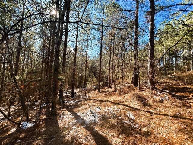 2A Redman Ridge Ln, Decatur, TN 37322 - photo 15