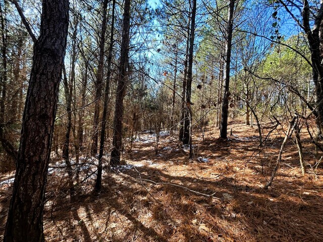 2A Redman Ridge Ln, Decatur, TN 37322 - photo 10