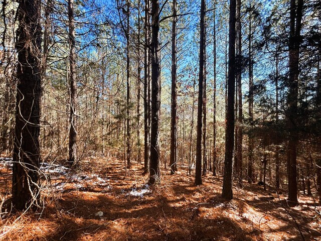 2A Redman Ridge Ln, Decatur, TN 37322 - photo 5