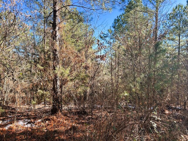 2A Redman Ridge Ln, Decatur, TN 37322 - photo 9