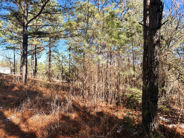 2A Redman Ridge Ln, Decatur, TN 37322 - photo 4