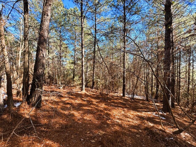 2A Redman Ridge Ln, Decatur, TN 37322 - photo 7