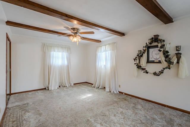 carpeted empty room featuring beamed ceiling, ceiling fan, and crown molding