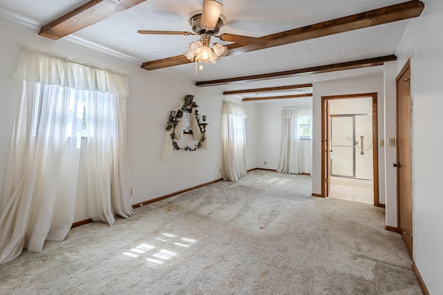 carpeted empty room with ceiling fan, beamed ceiling, and ornamental molding