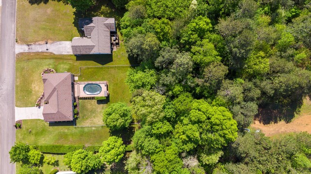 drone / aerial view