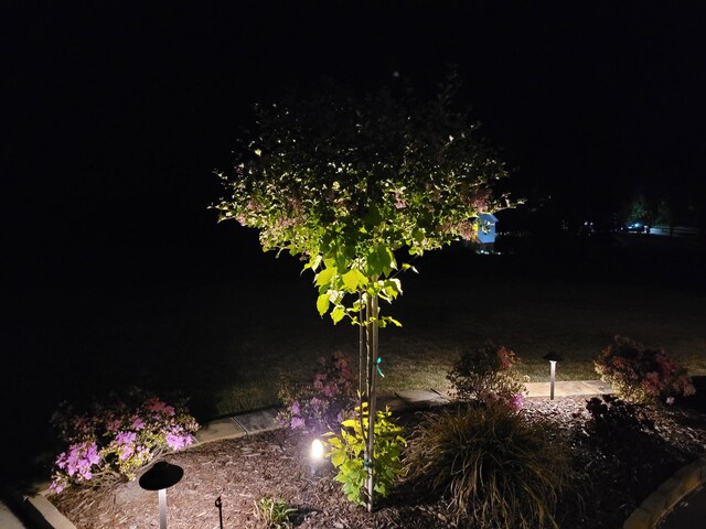 view of nature at night