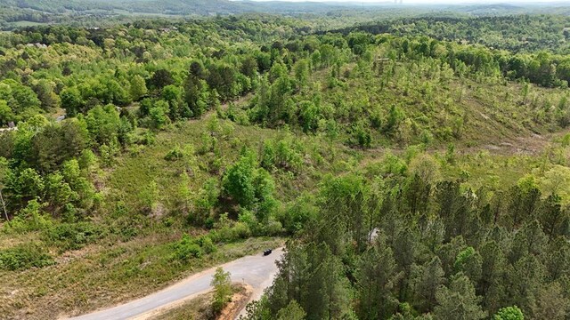 13406 Eldridge Rd, Harrison, TN 37341