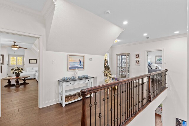 944 Ironwood Ln, Loudon, TN 37774 - hall featuring a healthy amount of sunlight, crown molding, and dark wood-type flooring