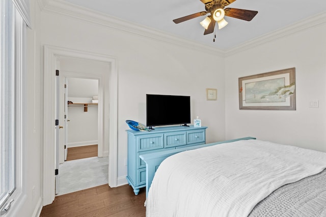944 Ironwood Ln, Loudon, TN 37774 - bedroom with ceiling fan, crown molding, a spacious closet, and dark hardwood / wood-style floors