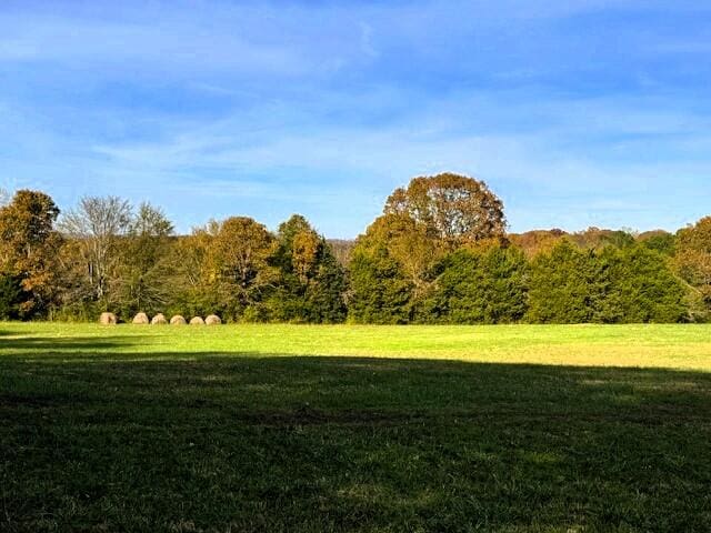 view of community featuring a lawn