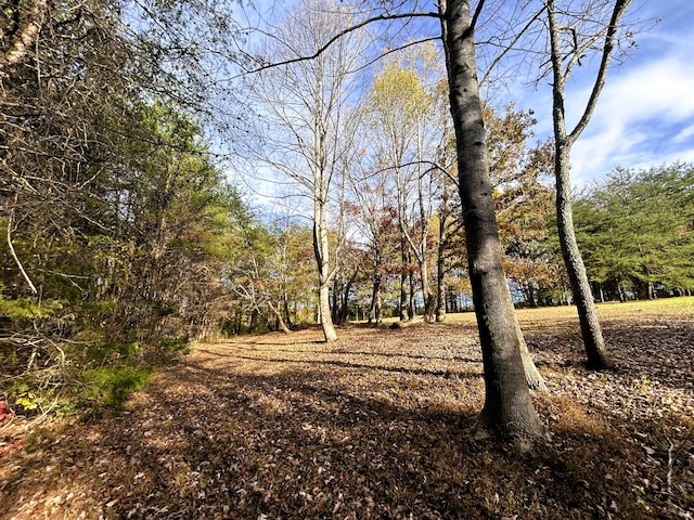 view of local wilderness