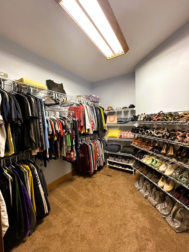 walk in closet featuring carpet flooring