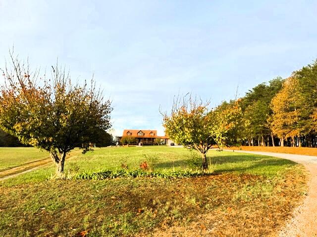 view of home's community featuring a yard