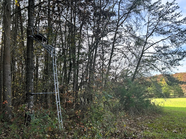 view of local wilderness