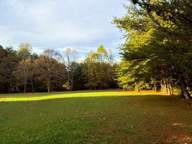 view of home's community with a yard