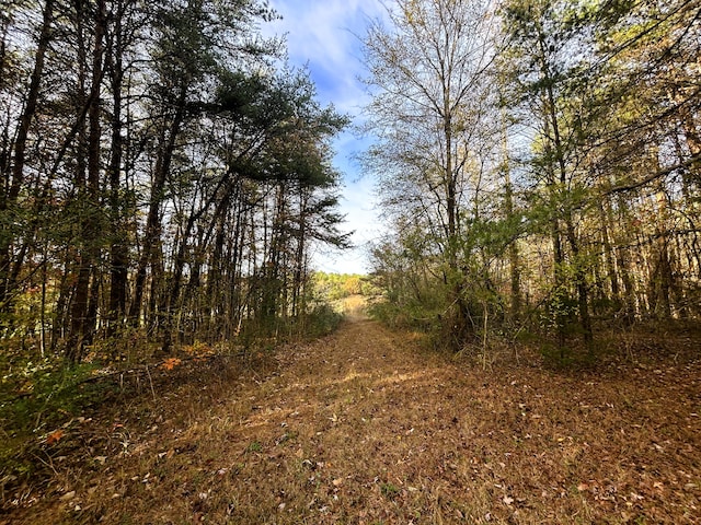 view of local wilderness