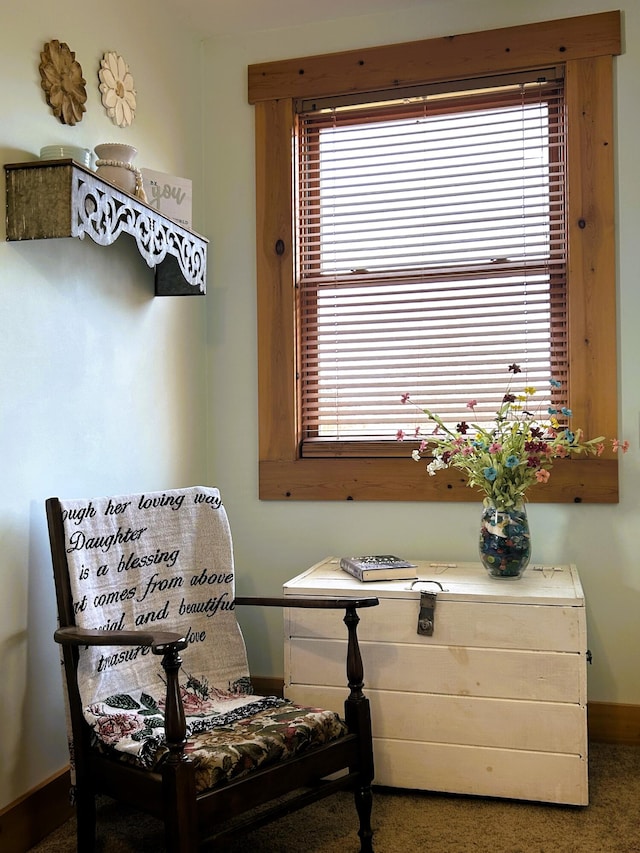 sitting room featuring carpet flooring and a wealth of natural light