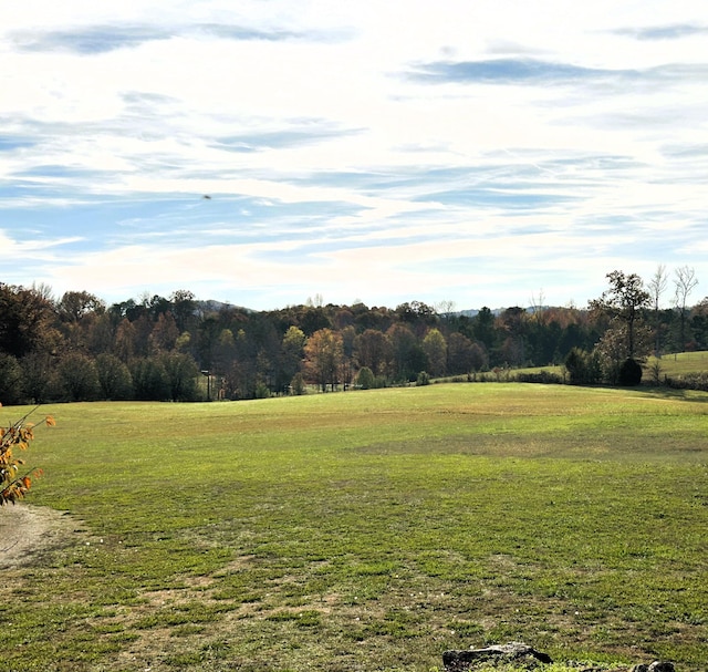 view of yard featuring a rural view