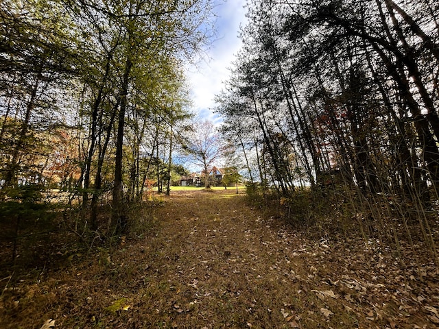 view of landscape