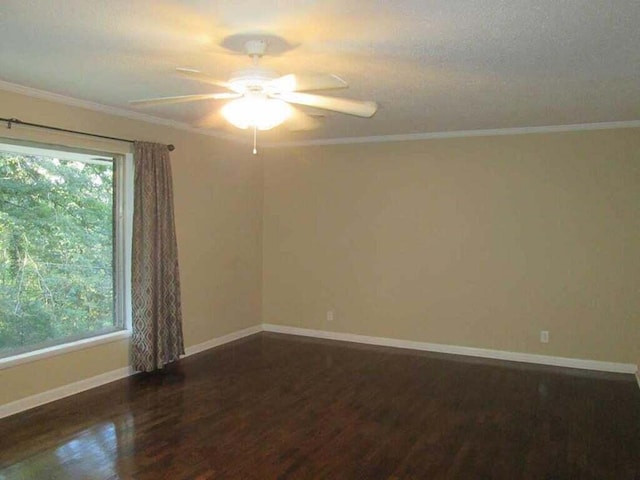 unfurnished room featuring dark wood-type flooring, a healthy amount of sunlight, and a textured ceiling