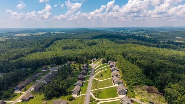 169 Timber Top Xing SE, Cleveland, TN 37323 - photo 25