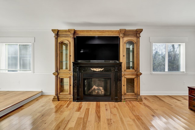 room details featuring ornamental molding and hardwood / wood-style floors